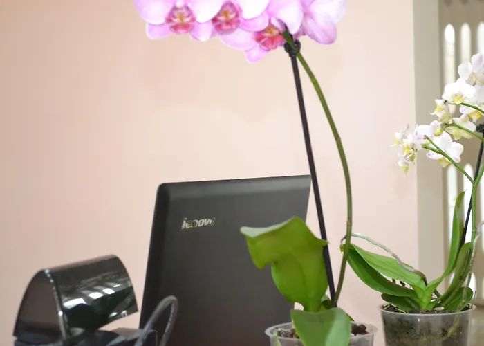 Safir Blue Szálloda Saturn